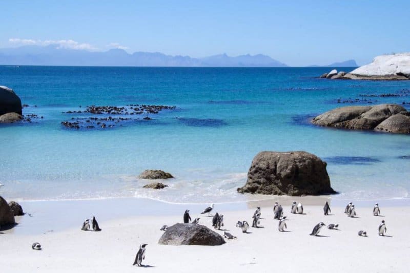 ساحل سنگی آفریقای جنوبی یکی دیگر از زیباترین مکان های جهان