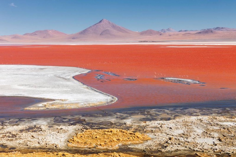 دریاچه نمک کلورادا در بولیوی - زیباترین مکان های جهان
